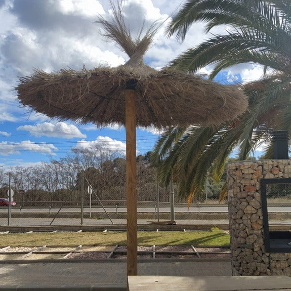 Sombrilla de brezo