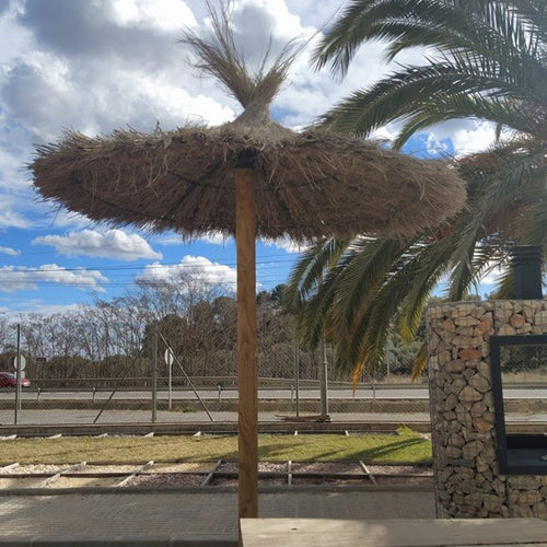 Sombrilla de brezo