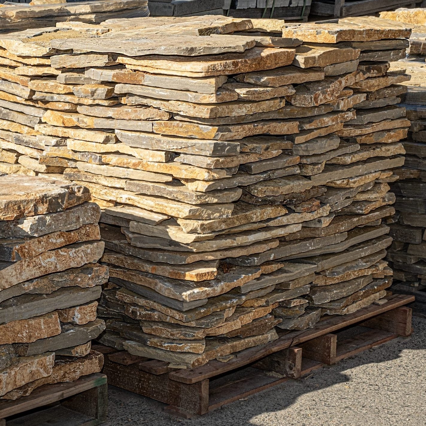 Piedra irregular raíces