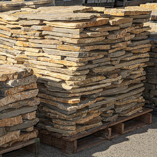 Piedra irregular raíces