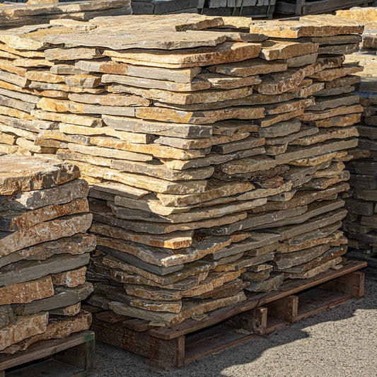 Piedra irregular raíces