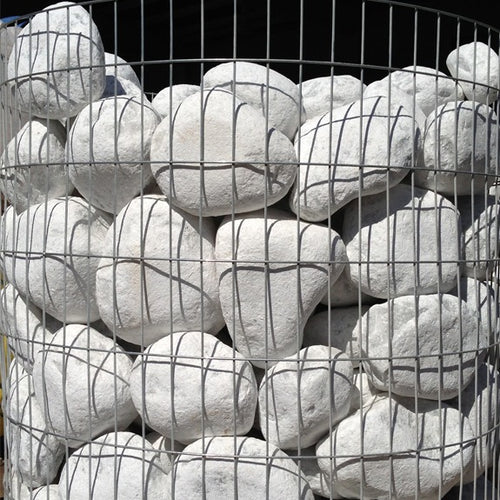 Bolo blanco